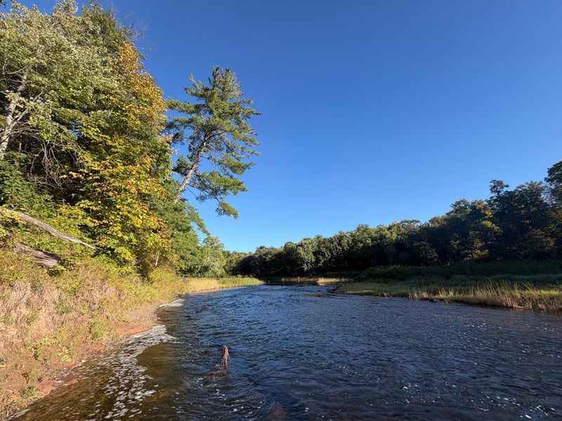 TBD Riverview Pl, Merrifield, MN 56465