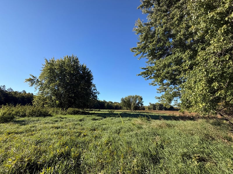 TBD Riverview Pl, Merrifield, MN 56465