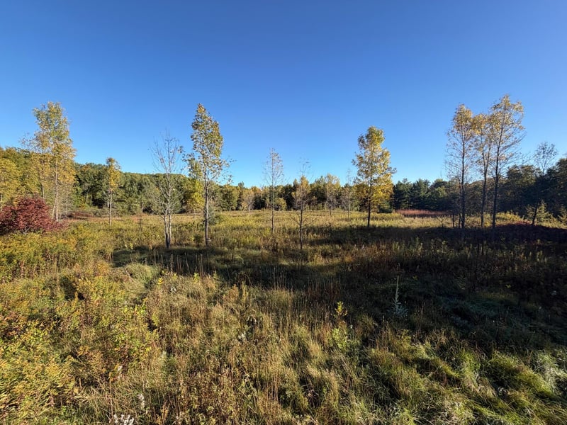 TBD Riverview Pl, Merrifield, MN 56465