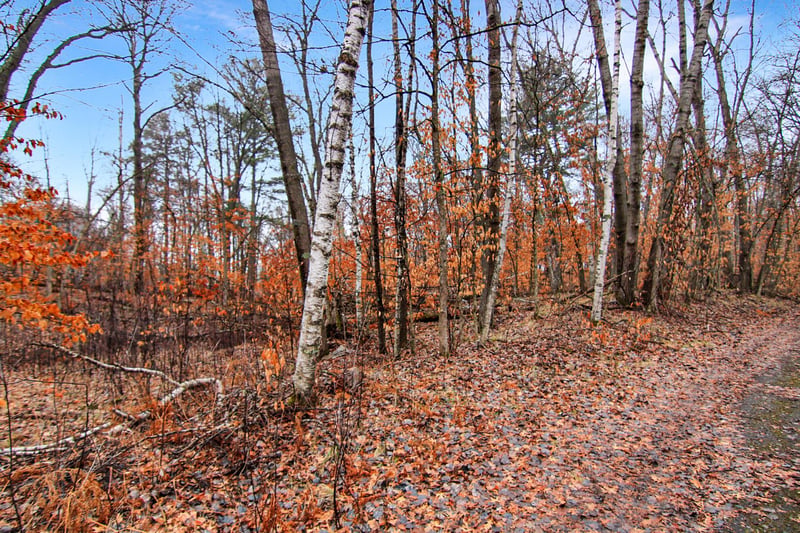 TBD Lots 200 - 201 Lynx Dr, Breezy Point, MN 56472
