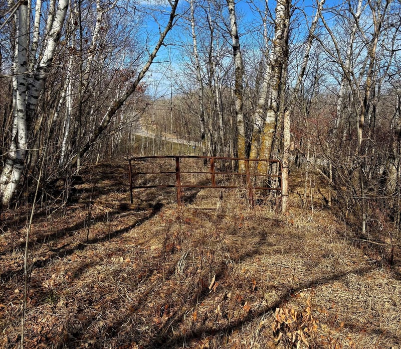 29221 County Highway 34, Callaway, MN 56521