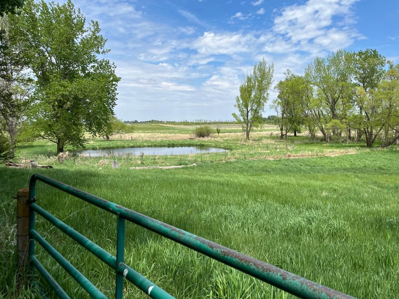 93306 Us Highway 71, Windom, MN 56101