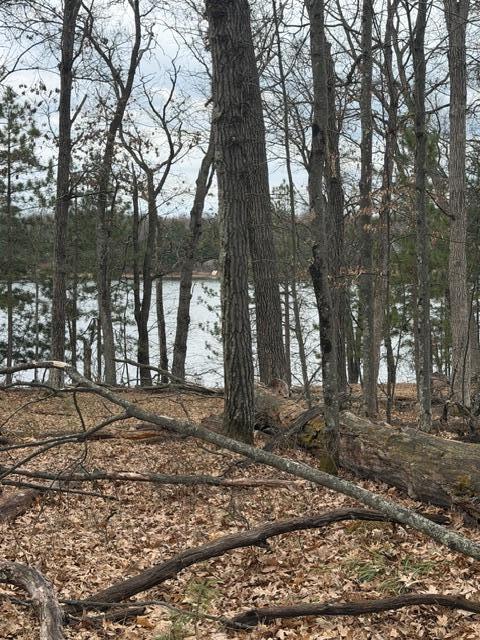 29936 Arbutus Dr, Webb Lake, WI 54830