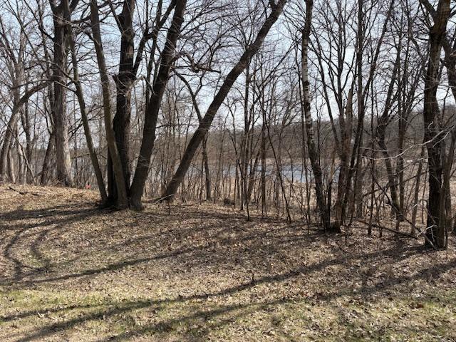 TBD Paradise Dr, Browerville, MN 56438