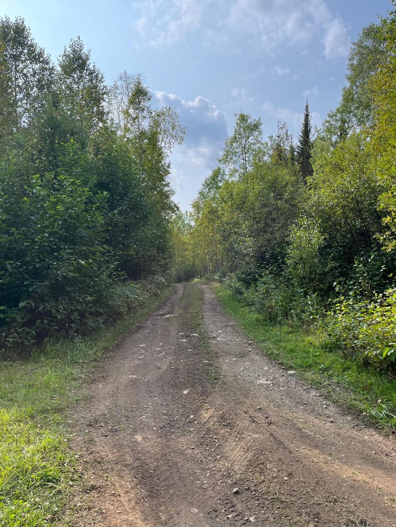 TBD S Lost Lake Rd, Hovland, MN 55606