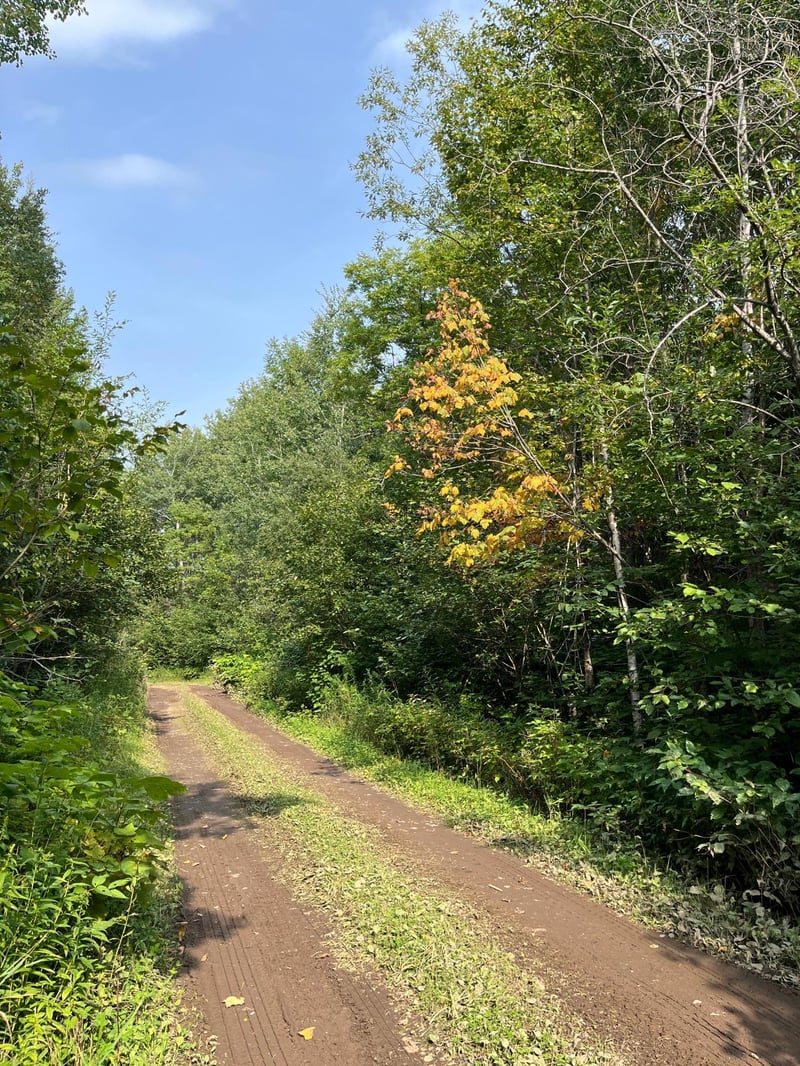 TBD S Lost Lake Rd, Hovland, MN 55606