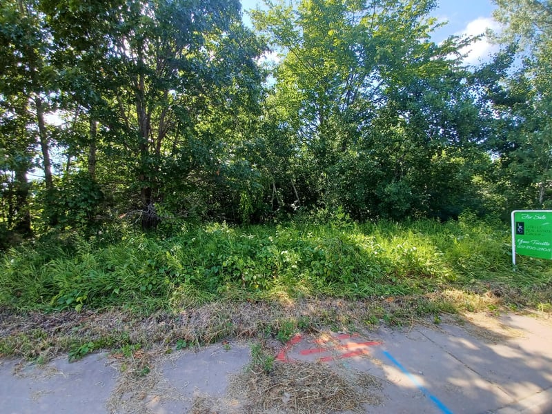 38xxx Oakview Ave, North Branch, MN 55056