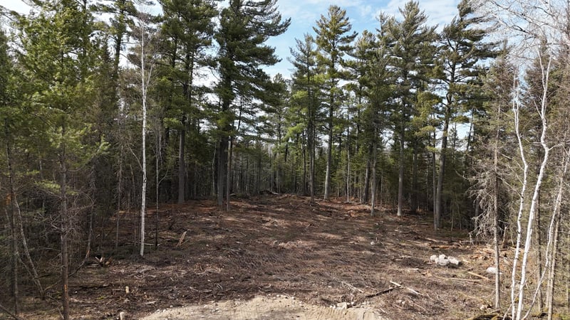 TBD 13.7 Crane Lake Rd, Crane Lake, MN 55725