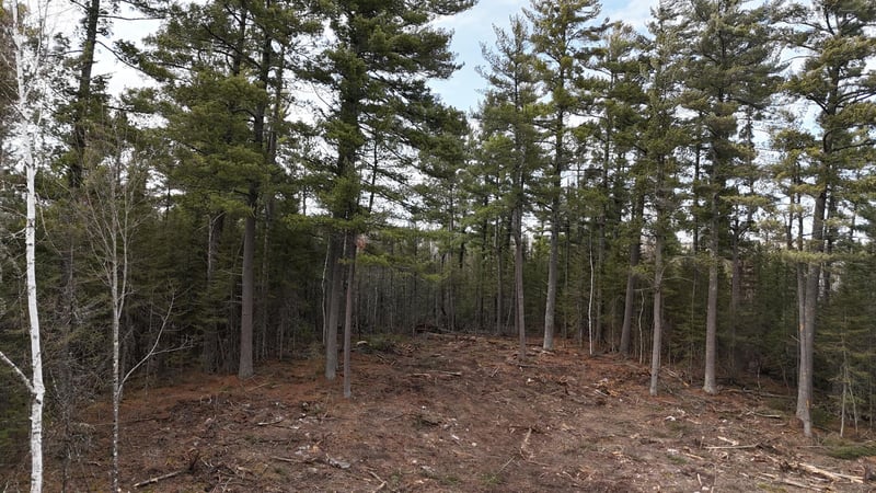 TBD 13.7 Crane Lake Rd, Crane Lake, MN 55725