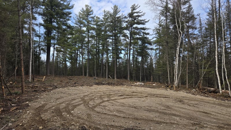 TBD 13.7 Crane Lake Rd, Crane Lake, MN 55725