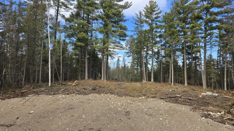 TBD 13.7 Crane Lake Rd, Crane Lake, MN 55725