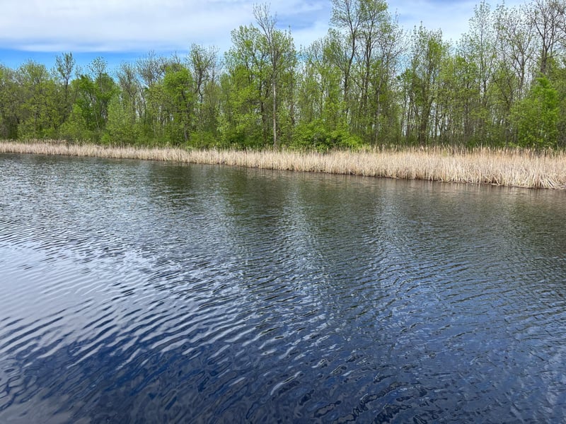 54654 Highway 72 NE, Waskish, MN 56685