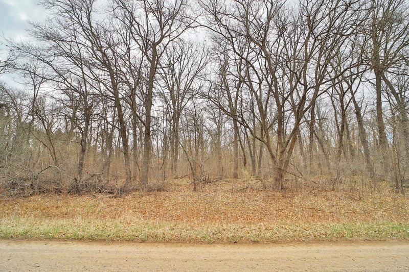 TBD Bedow Rd, Fort Ripley, MN 56449