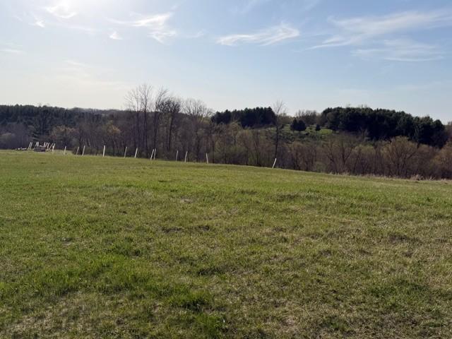 N2548 320th St, Maiden Rock, WI 54750