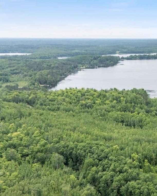 TBD "Lot B" Co Rd 533, Effie, MN 56639