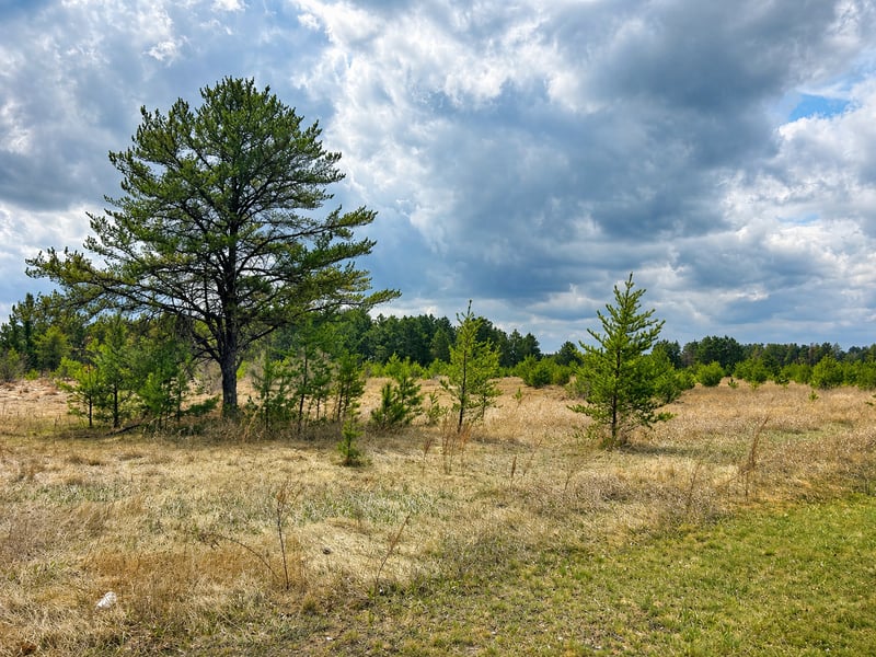 TBD 8th St W, Park Rapids, MN 56470