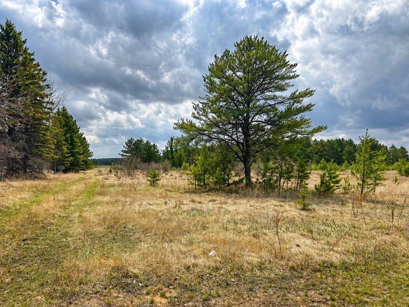TBD 8th St W, Park Rapids, MN 56470