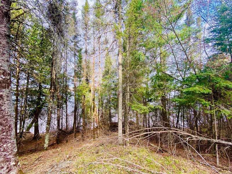 11171 S Engstad Rd, Solon Springs, WI 54873