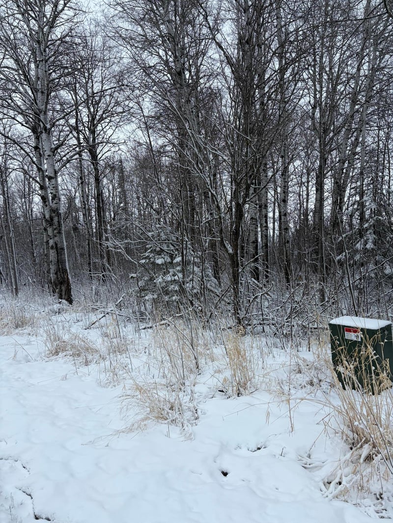 TBD Pine Creek Dr NW, Angle Inlet, MN 56711