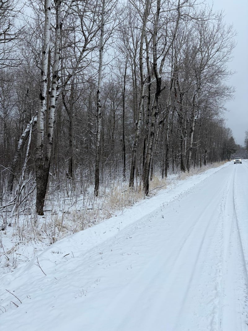 TBD Pine Creek Dr NW, Angle Inlet, MN 56711