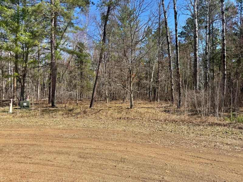 TBD Wall St, Crosslake, MN 56442