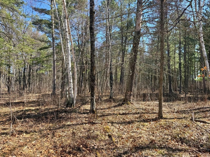 TBD Wall St, Crosslake, MN 56442