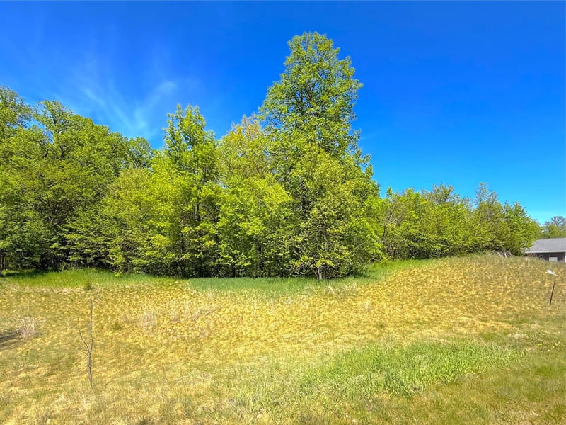 6312 Hidden Ln, South Haven, MN 55382