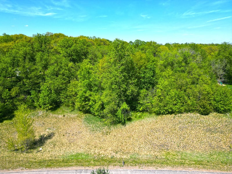 6312 Hidden Ln, South Haven, MN 55382