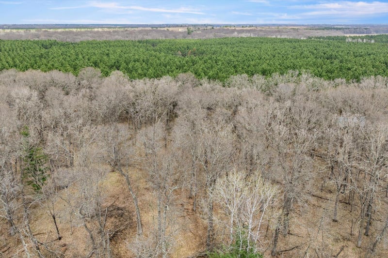 TBD. Bedow Rd, Fort Ripley, MN 56449