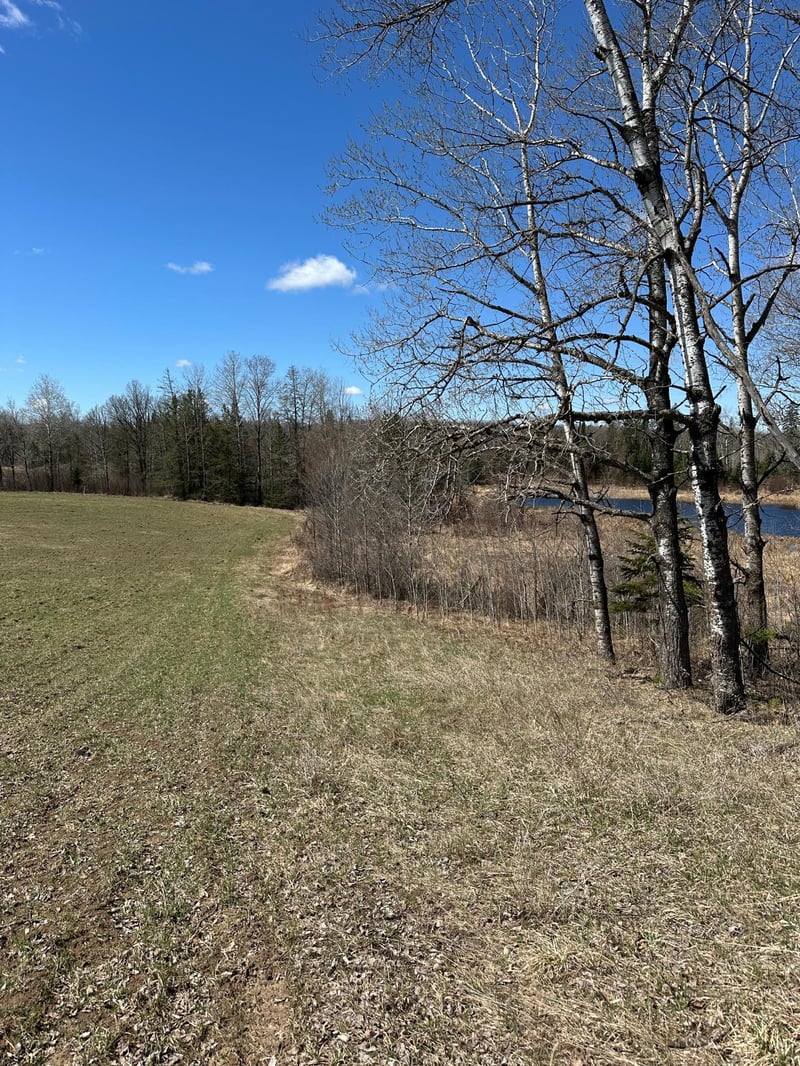 TBD Ct Rd 307, Blackduck, MN 56630