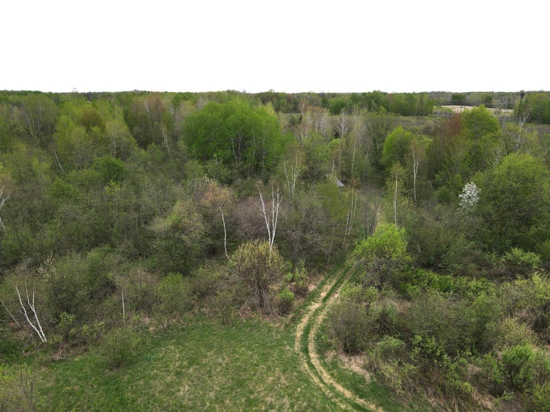 TBD Silo Rd, Sarona, WI 54870