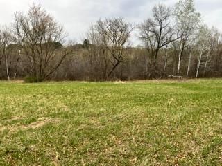 249XX Lever St NE, Isanti, MN 55040