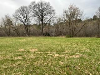 249XX Lever St NE, Isanti, MN 55040