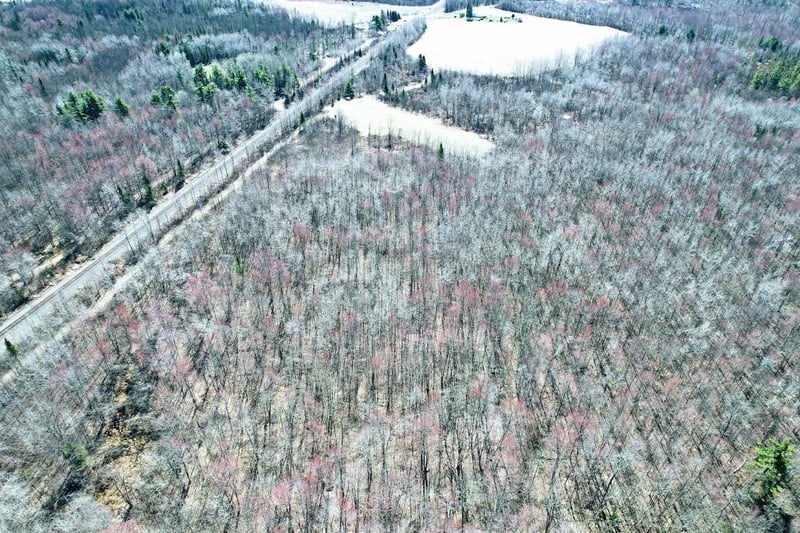 O R Applebee Rd, Exeland, WI 54835