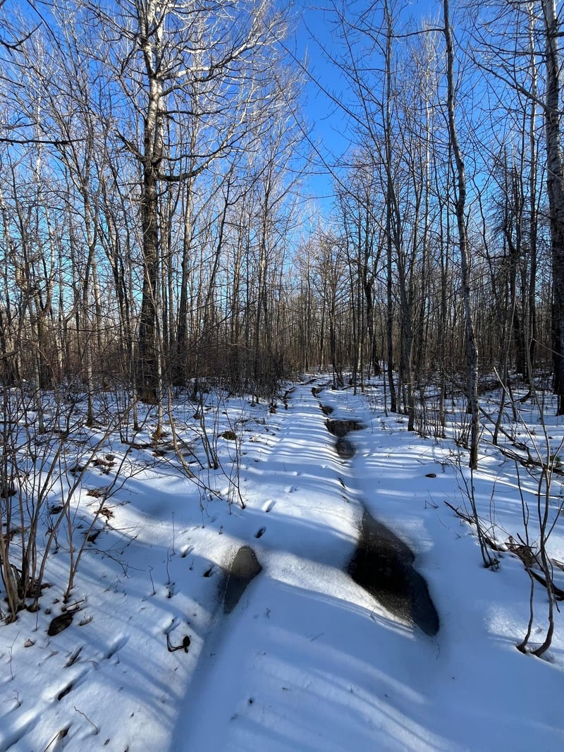 TBD County Rd 4, Barnum, MN 55707