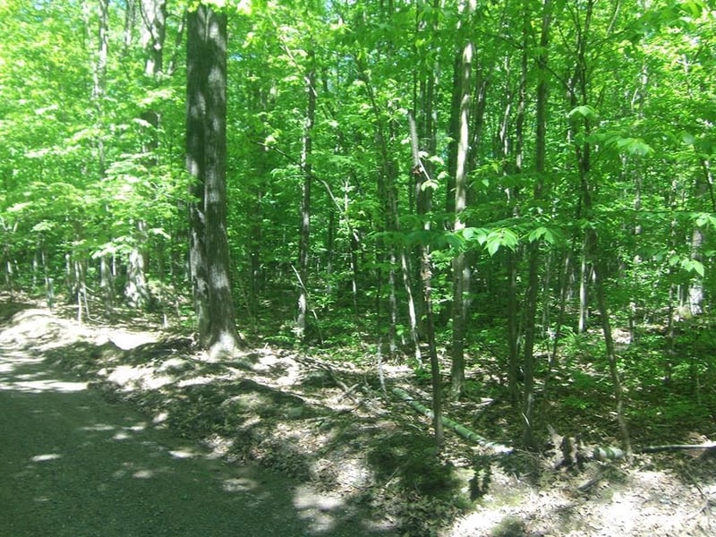 4.85 Acres Joes Rd, Conrath, WI 54731