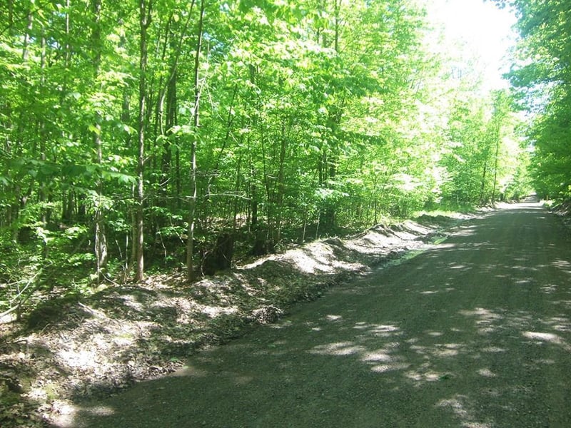 4.85 Acres Joes Rd, Conrath, WI 54731