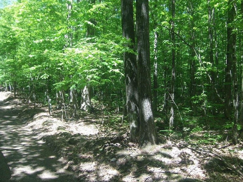 4.85 Acres Joes Rd, Conrath, WI 54731