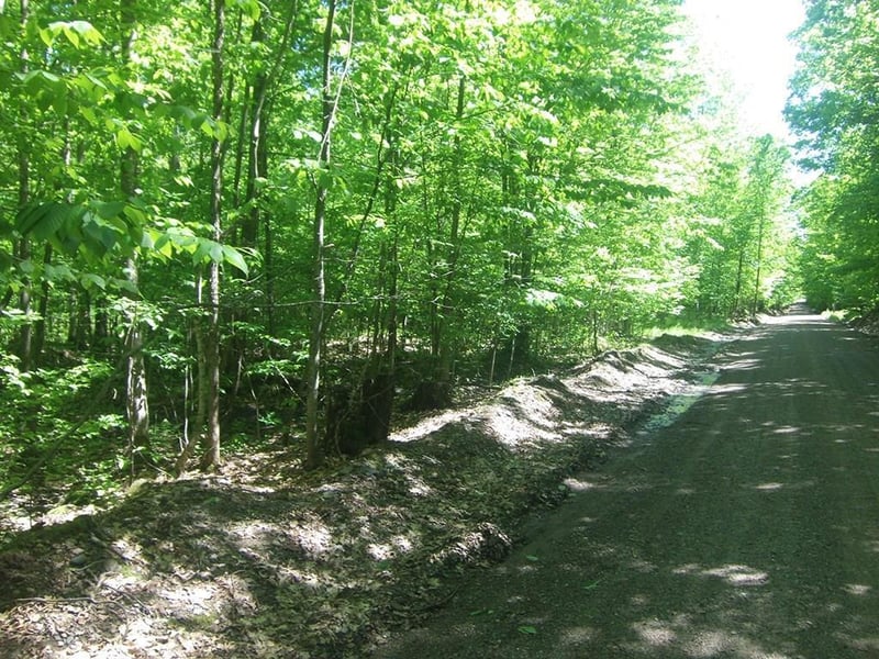 4.85 Acres Joes Rd, Conrath, WI 54731
