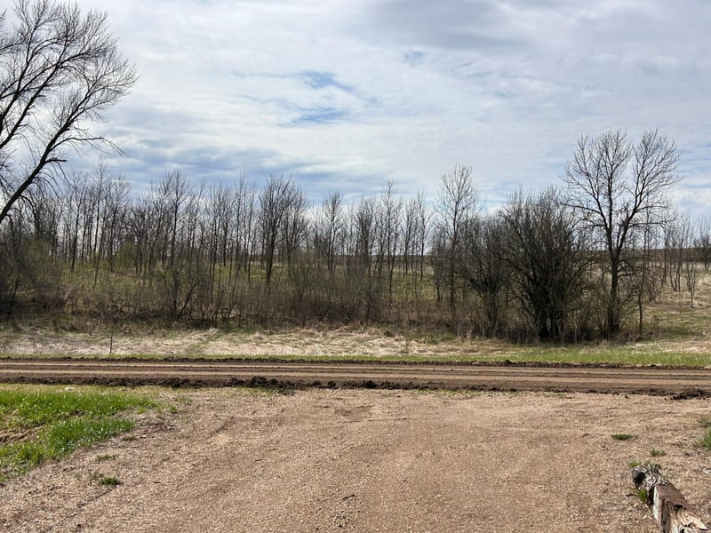 Lot 20 215th St, Barrett, MN 56311