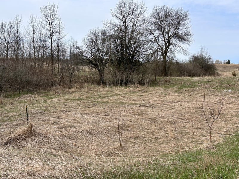Lot 20 215th St, Barrett, MN 56311