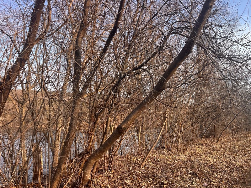 5xx River St, Taylors Falls, MN 55084