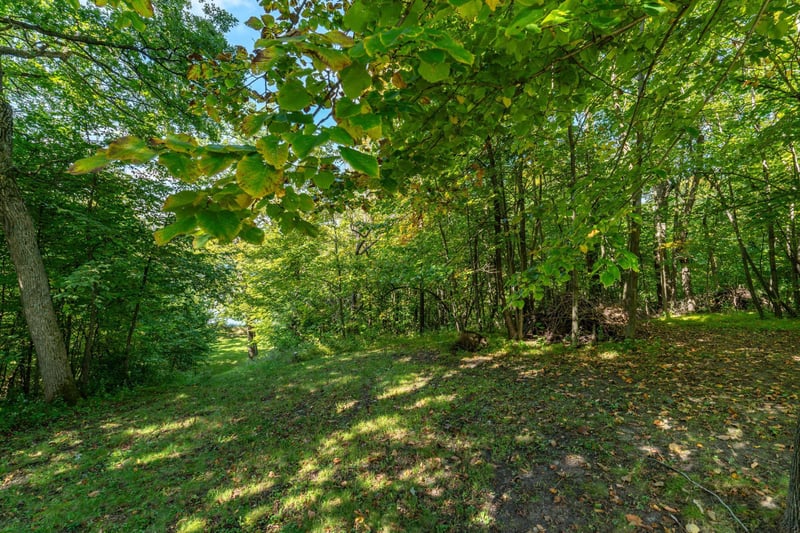 18101 Minni Acres Rd, Clitherall, MN 56524