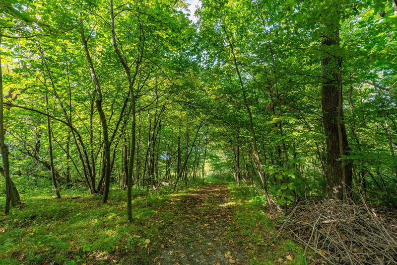 18101 Minni Acres Rd, Clitherall, MN 56524