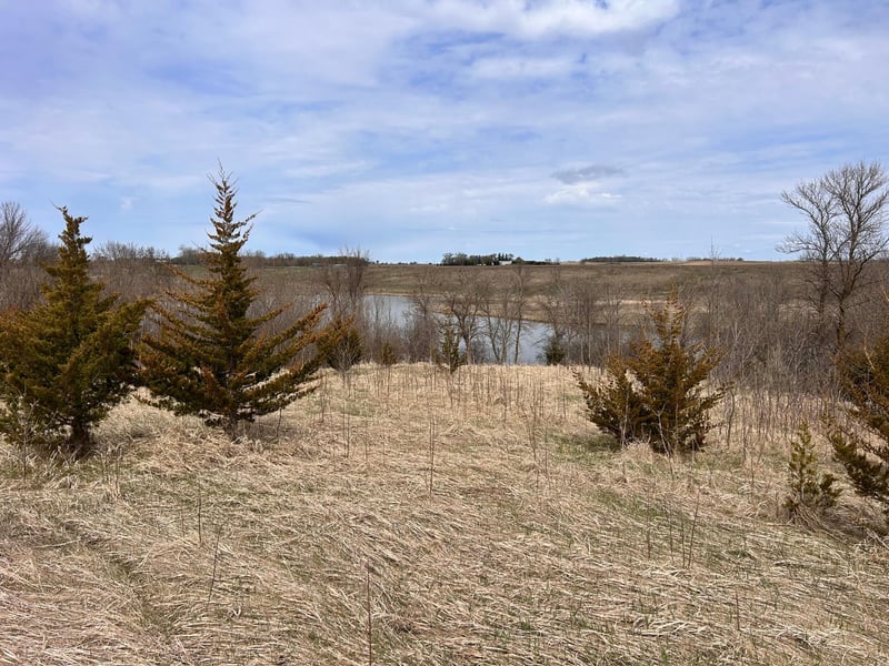 Lot 6 215th St, Barrett, MN 56311