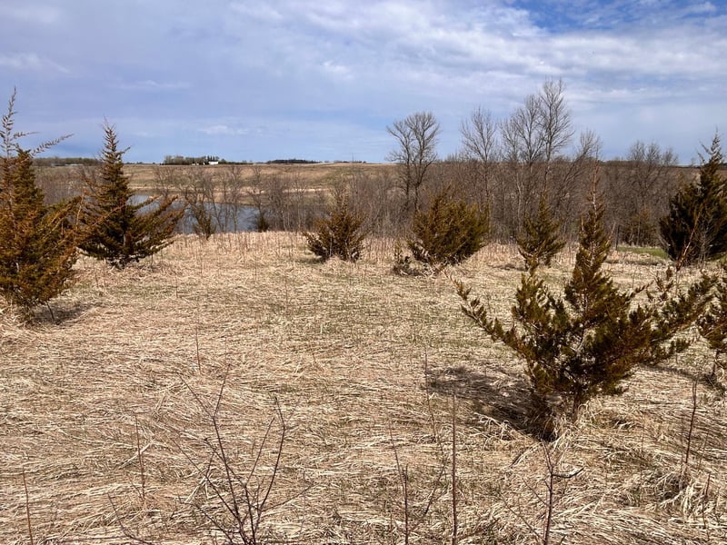 Lot 6 215th St, Barrett, MN 56311