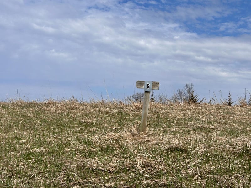 Lot 6 215th St, Barrett, MN 56311