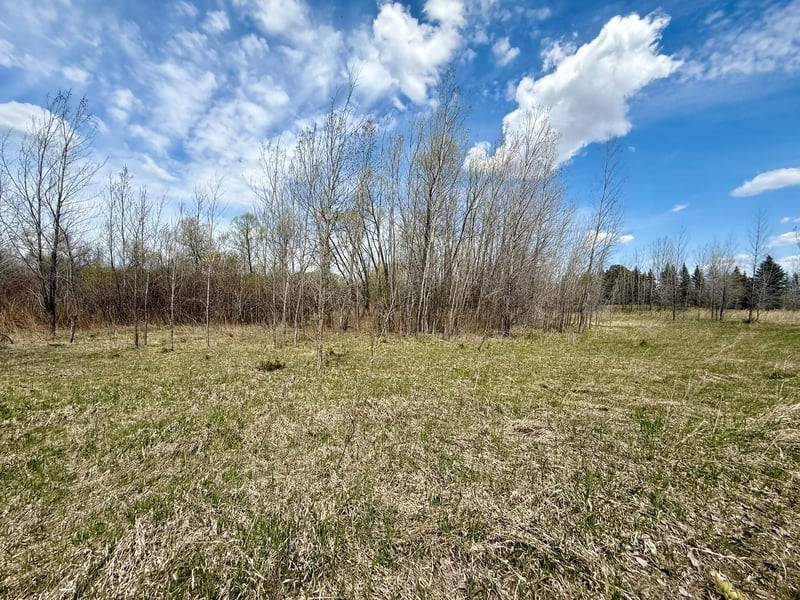 XXX 245th Ave, Glenwood, MN 56334