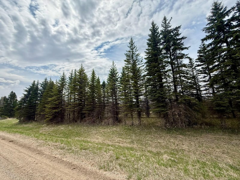 XXX 245th Ave, Glenwood, MN 56334