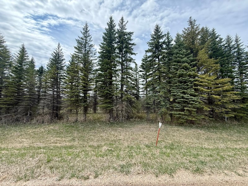 XXX 245th Ave, Glenwood, MN 56334